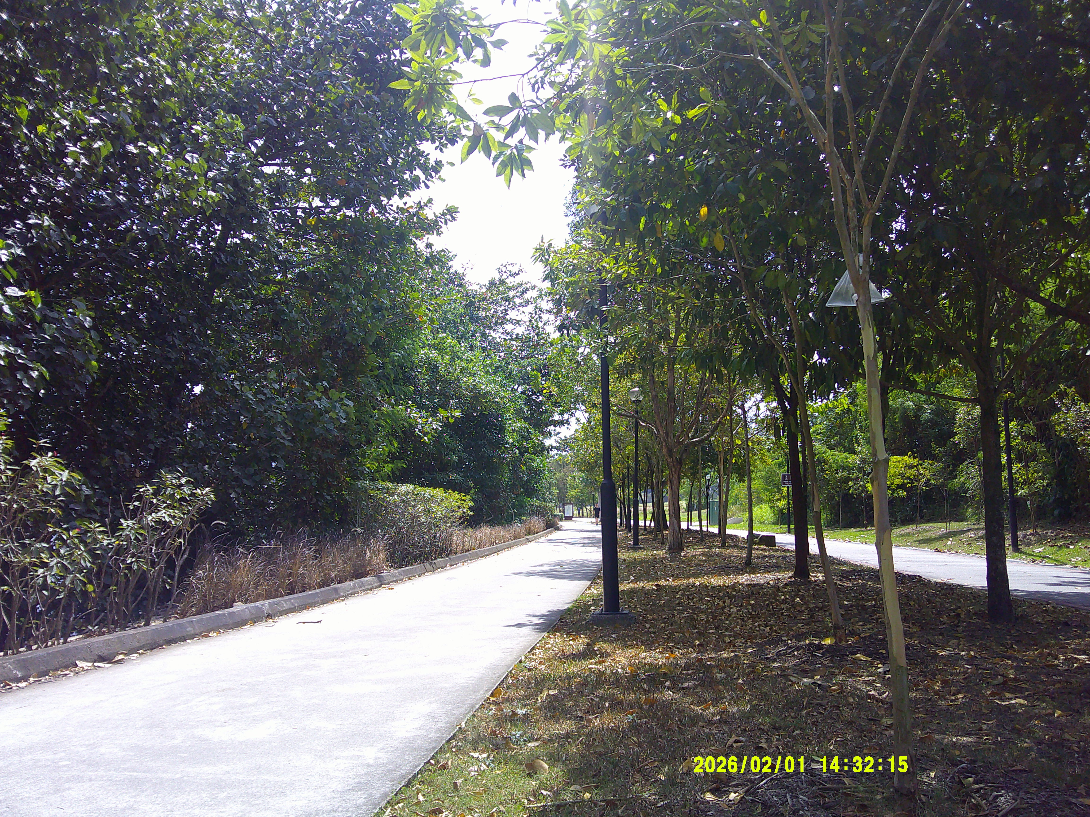 the path you never chose